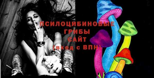 бошки Алексеевка