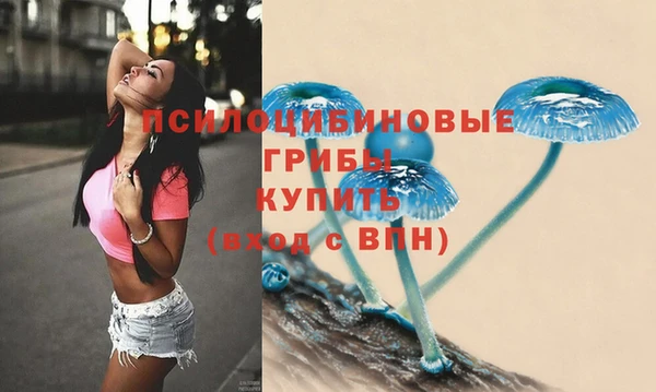 бошки Алексеевка