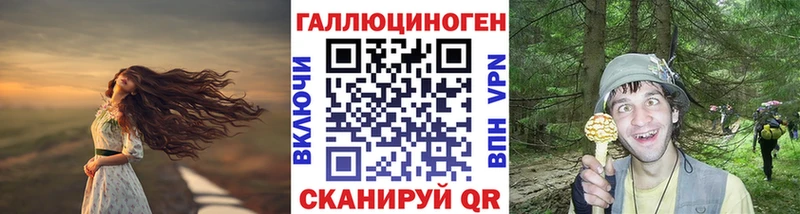 Галлюциногенные грибы Psilocybine cubensis  Купить где  Ачхой-Мартан 