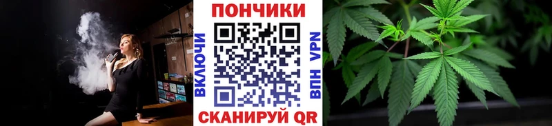 Каннабис семена Ачхой-Мартан